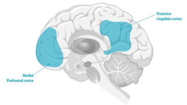 Нейрофизиология гипноза